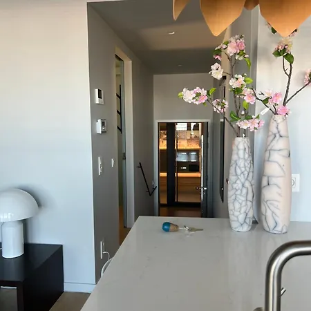 Umi * Остенде